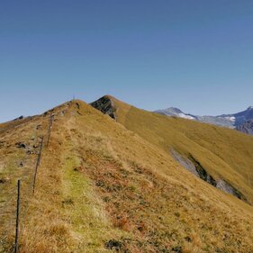 Gipfelkamm im Sommer | © TVB Wipptal