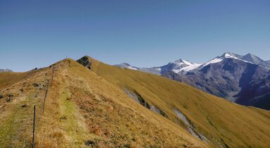 Gipfelkamm im Sommer | © TVB Wipptal