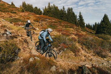 Zwei Radfahrer bei der Abfahrt auf einem Trail | © TVB Wipptal | Johannes Bitter