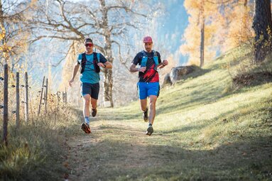 Trailrunning_leichter Abwärtslauf | © TVB Wipptal | Florian Glatzl