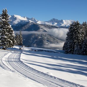 Loipe bei Maria Waldrast durch die verschneite Landschaft | © TVB Wipptal | Joakim Strickner