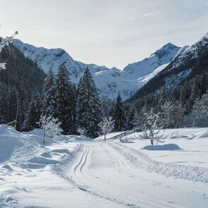 Schöne Loipe in tief verschneiter Landschaft in Gschnitz | © TVB Wipptal | Helena Beermeister