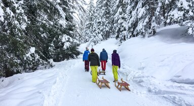 Eine Gruppe geht mit Rodeln durch den Wald | © TVB Wipptal | Helga Beermeister
