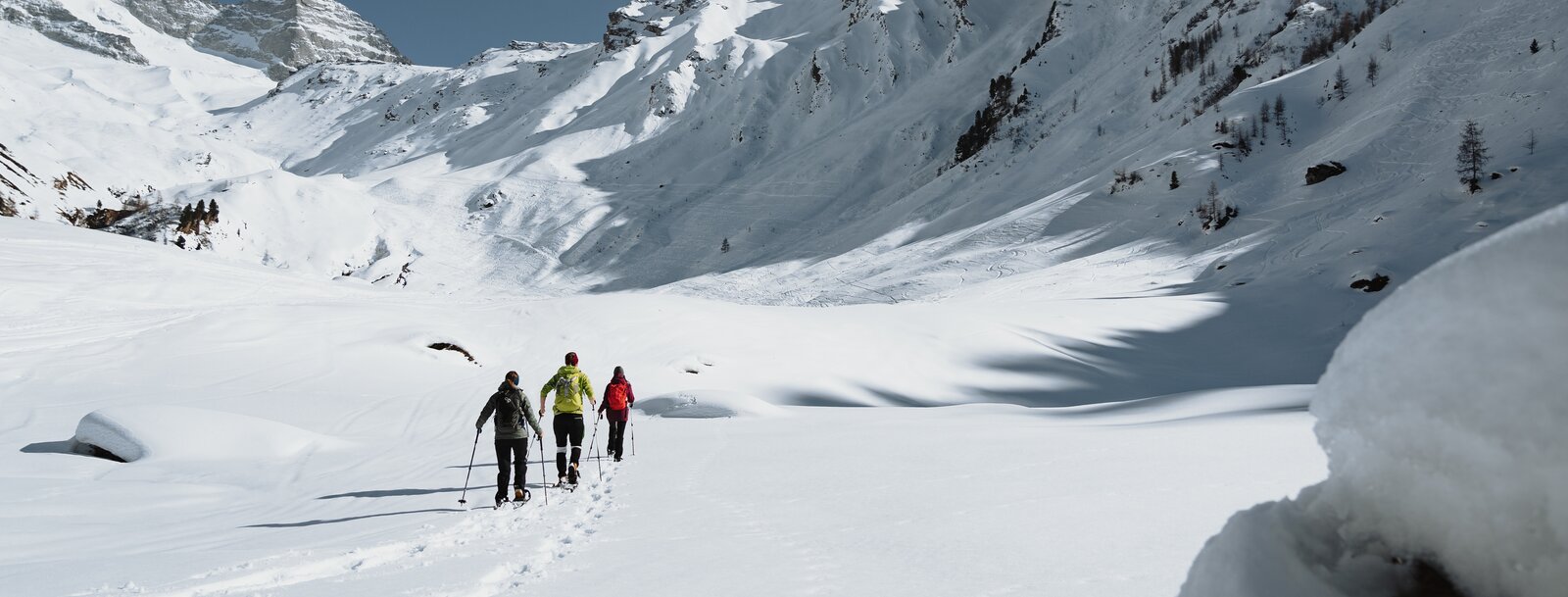 Eine Gruppe von drei Personen wandert auf Schneeschuhen durch eine verschneite Winterlandschaft  | © TVB Wipptal | Johannes Bitter