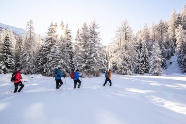 Eine kleine Gruppe stapft durch den Tiefschnee im Wald | © TVB Wipptal | Judith Hammer