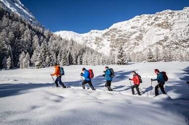 Eine kleine Gruppe stapft mit Schneeschuhen durch Tiefschnee | © TVB Wipptal | Judith Hammer