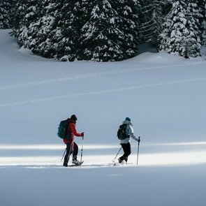 2 Schneeschuhgeherinnen auf dem Weg zum Obernberger See | © TVB Wipptal | Johannes Bitter