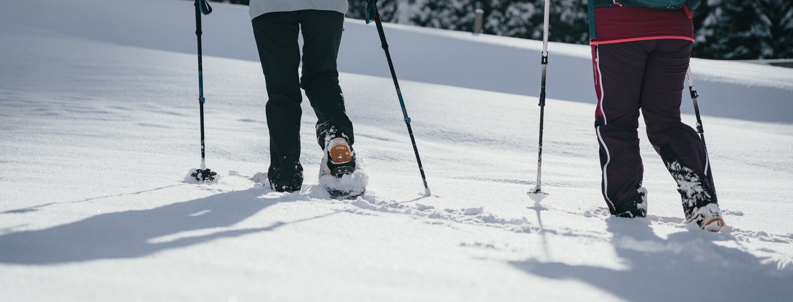 Zwei Menschen wandern mit Schneechuhen und Stöcken durch die verschneite Winterlandschaft von Obernberg | © Tourismusverband Wipptal |