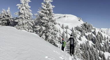 Zwei Schneeschuhwanderer stapfen durch eine verschneite Winterlandschaft auf einen  | © TVB Wipptal