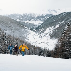 Drei Skitourengeher im Aufstieg oberhalb der Waldgrenze, unter ihnen ein tief verschneites Tal | © TVB Wipptal | Johannes Bitter