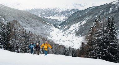 Drei Skitourengeher im Aufstieg oberhalb der Waldgrenze, unter ihnen ein tief verschneites Tal | © TVB Wipptal | Johannes Bitter