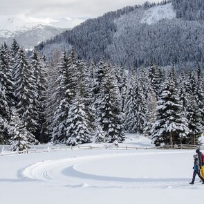 Ein Pärchen beim Winterwandern durch die verschneite Landschaft bei Maria Waldrast | © TVB Wipptal - Joakim Strickner