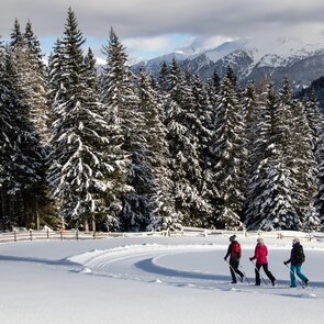 Drei Freundinnen beim Winterwandern durch die verschneite Landschaft bei Maria Waldrast | © TVB Wipptal - Joakim Strickner