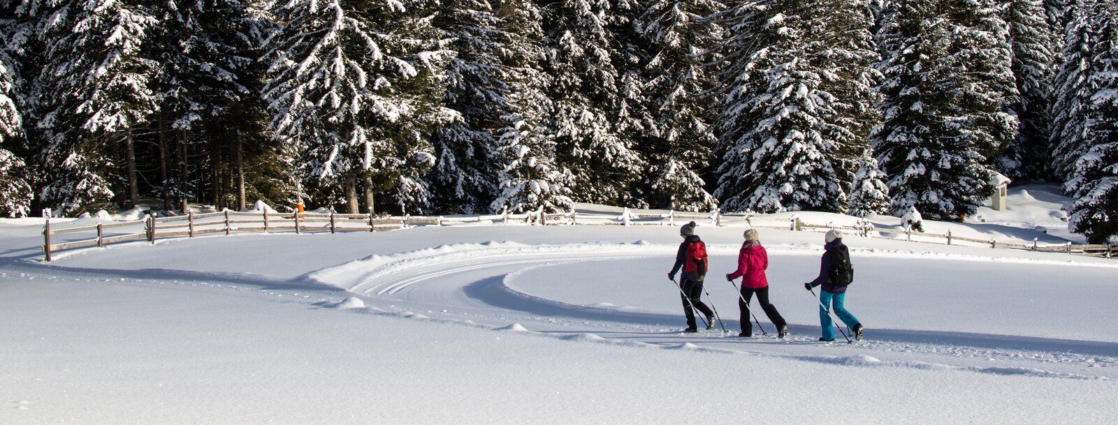 Drei Freundinnen beim Winterwandern durch die verschneite Landschaft bei Maria Waldrast | © TVB Wipptal - Joakim Strickner