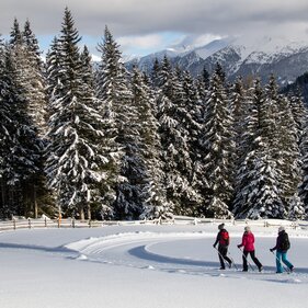 Drei Freundinnen beim Winterwandern durch die verschneite Landschaft bei Maria Waldrast | © TVB Wipptal - Joakim Strickner