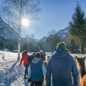 Eine Gruppe von Gästen wandert mit den Alpakas durch die Winterlandschaft | © bergsteigerdoerfer.org | Marion Hetzenauer