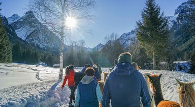 Eine Gruppe von Gästen wandert mit den Alpakas durch die Winterlandschaft | © bergsteigerdoerfer.org | Marion Hetzenauer