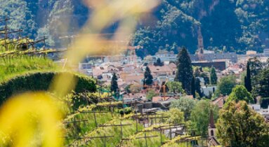 Weingut in Bozen | © Verkehrsamt Bozen | Rötting