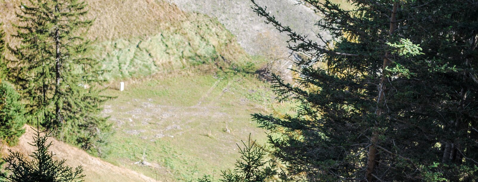 Infotafeln rund um den Brenner Basistunnel befinden sich am Rundweg. | © TVB Wipptal | Carmesine
