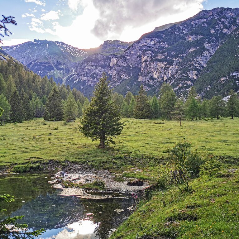 Wasserlauf im Almgebiet der sieben Quellen in Obernberg | © TVB Wipptal | Judith Hammer