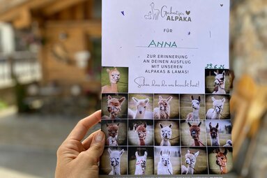 Karte mit Name und Fotos der Alpakas als Erinnerung an die Alpaka Wanderung | © TVB Wipptal / Daniela Achmüller