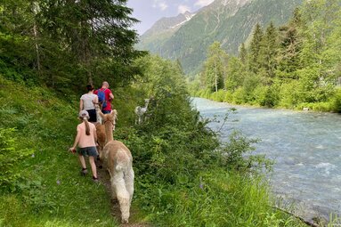 Wanderung entlang des kuehlen Gschnitzbaches | © Daniela Achmüller