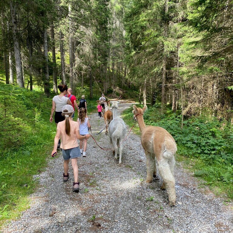 Wanderung durch die schönen Wälder des Gschnitztales | © Daniela Achmüller