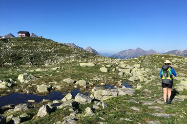 Die Karrenwege sind immer noch gut zu sehen | © TVB Wipptal - Judith Hammer