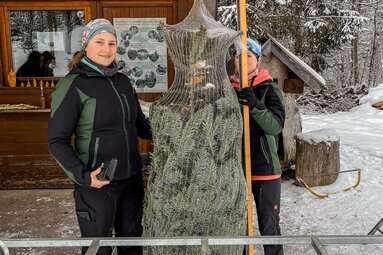 Der Preis des Baumes wird genau bemessen. | © TVB Wipptal | Barbara Jenewein