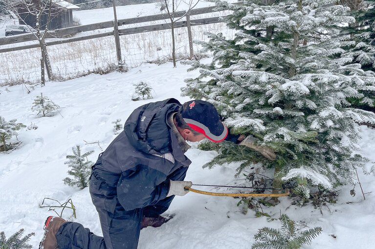 Achtung: Baum fällt! | © TVB Wipptal | Barbara Jenewein
