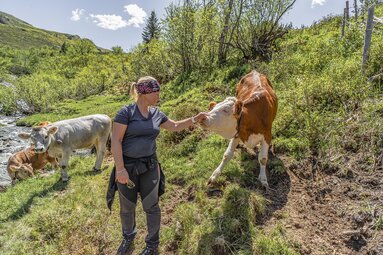 Eine Frau berührt eine Kuh an der Schnauze | © TVB Wipptal | Helena Beermeister