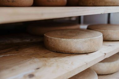 Preisgekrönter Käse auf der Steiner Alm | © TVB Wipptal | Victoria Hörtnagl