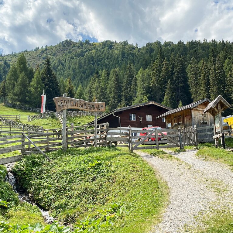 Ein Zufahrtsweg führt zu einer Almhütte, die umgeben von Bergwiesen vor einem Wald steht | © Daniela Plattner