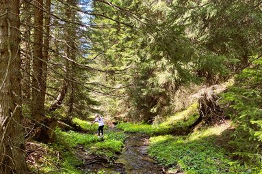 Ein kleines Bächlein das sich durch den Wald windet | © TVB Wipptal / Daniela Achmüller