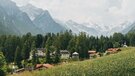 Blick auf das Schloss Schneeberg im Bergsteigerdorf Trins am bewaldeten Moränenhügel im Sommer | © TVB Wipptal | Johannes Bitter 