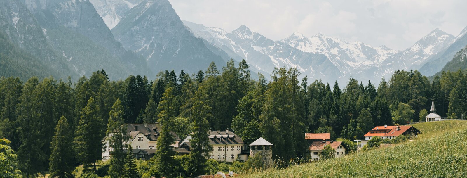 Blick auf das Schloss Schneeberg im Bergsteigerdorf Trins am bewaldeten Moränenhügel im Sommer | © TVB Wipptal | Johannes Bitter 
