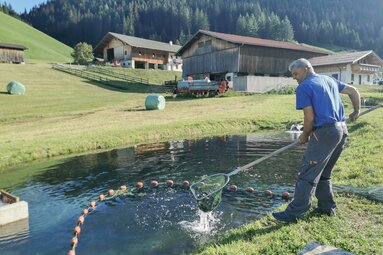 Das Herausfischen ist Männersache, denn die Fische sind schwer. | © TVB Wipptal | Judith Hammer