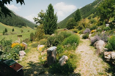 Der Alpenblumengarten verfügt über barrierefreie Wege. | © TVB Wipptal | Johannes Bitter