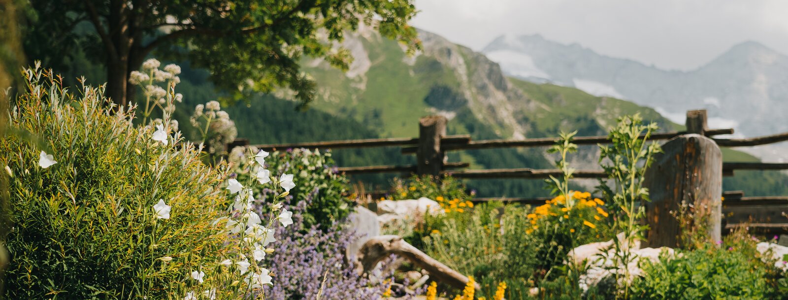 Der Alpenblumen- und Kräutergarten im Bergsteigerdorf Schmirn. | © TVB Wipptal | Johannes Bitter