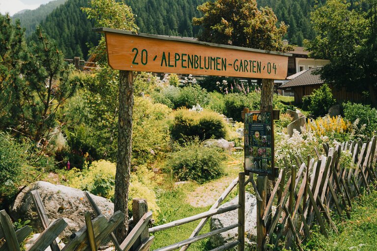 Der Alpenblumengarten im Bergsteigerdorf Schmirn. | © TVB Wipptal | Johannes Bitter