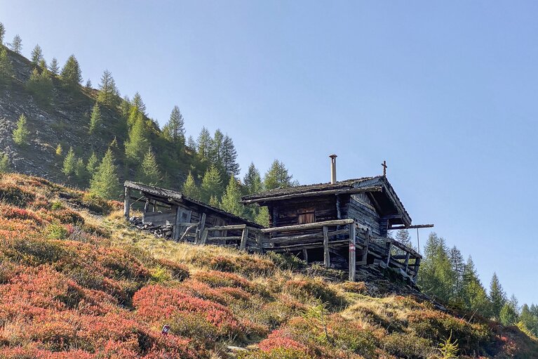 Eine kleine Holzhütte steht in einem Berghang umgeben von herbstlich gefärbten Almwiesen.