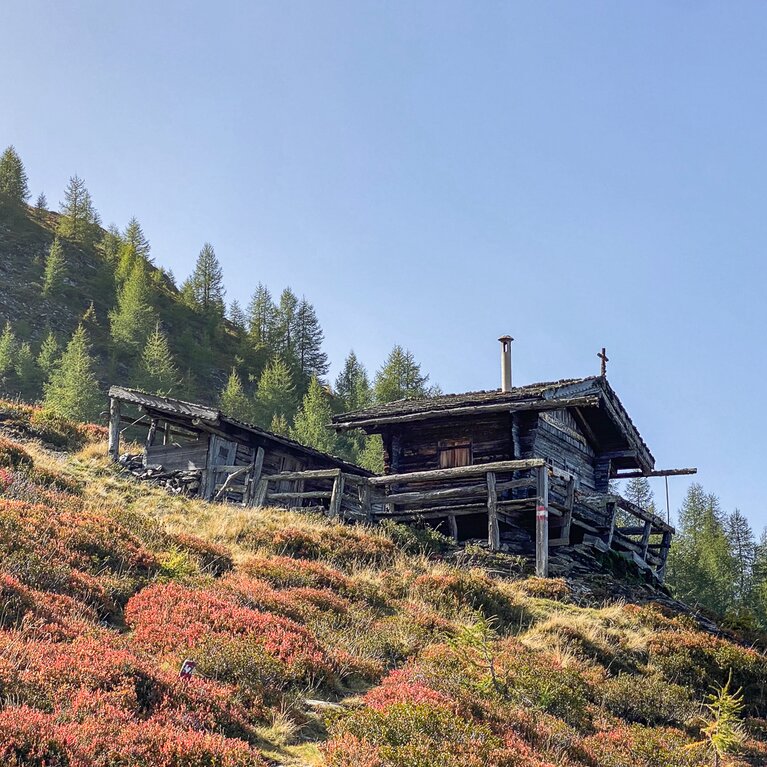 Eine kleine Holzhütte steht in einem Berghang umgeben von herbstlich gefärbten Almwiesen.