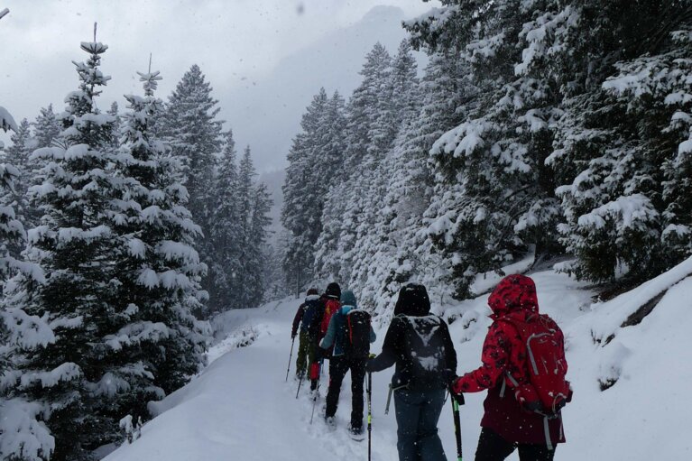 Yoga & Schneeschuh - Schneeschnuhwanderung | © TVB Wipptal | Nicole Fiedler