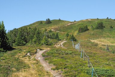 Auf dem Weg zum Gipfes des Padauner Kogel | © Daniela Achmüller