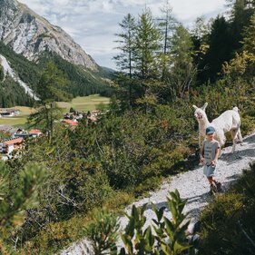 Zwei Kind wandern mit Alpakas  | © TVB Wipptal / Johannes Bitter