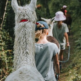 Zwei Mädchen führen hintereinander hergehend Alpakas an der Hand durch den Wald | © TVB Wipptal | Johannes Bitter