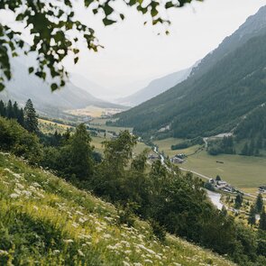 sommerliches Gschnitztal mit Blick Richtung talauswärts | © TVB Wipptal | Johannes Bitter
