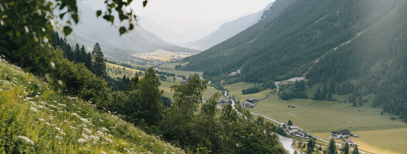 sommerliches Gschnitztal mit Blick Richtung talauswärts | © TVB Wipptal | Johannes Bitter
