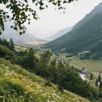 sommerliches Gschnitztal mit Blick Richtung talauswärts | © TVB Wipptal | Johannes Bitter