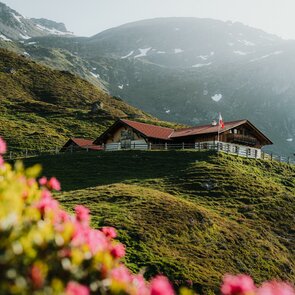 Vögeleralm im Navistal | © TVB Wipptal / Johannes Bitter